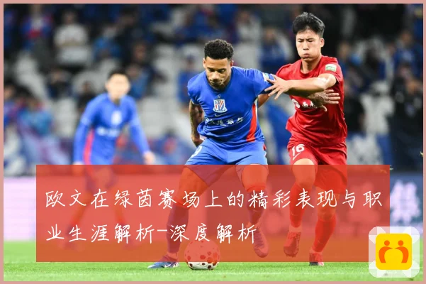 欧文在绿茵赛场上的精彩表现与职业生涯解析-深度解析